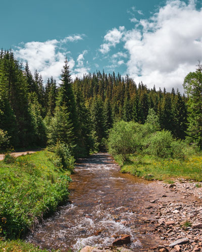 Навчальні програми